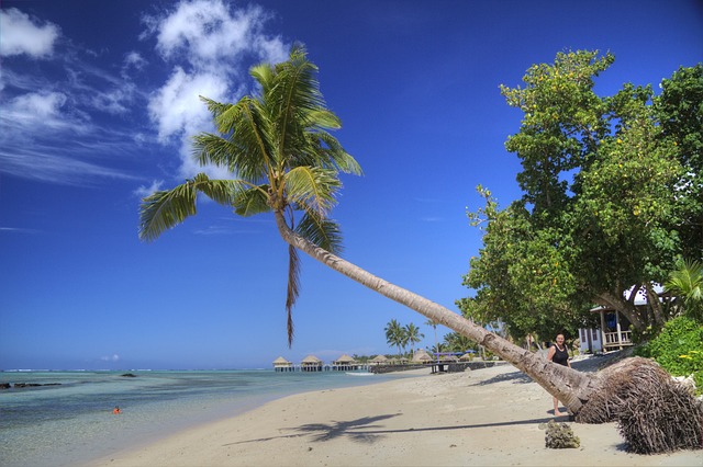 image from Tu Sua Samoa