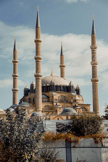 image from Selimiye Mosque and Its Social Complex