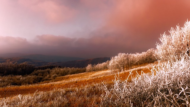 image from Bus Tours Serbia