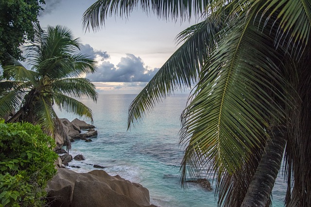 image from Seychelles Boat Tours