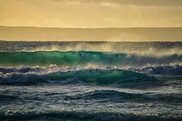 image from Shark Bay Western Australia