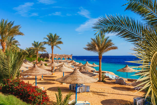 image from Sharm El Sheikh Egypt 2 Day Itinerary