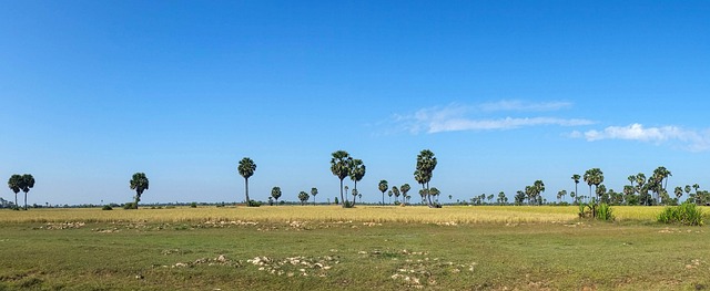 image from Solo Activities Siem Reap Province