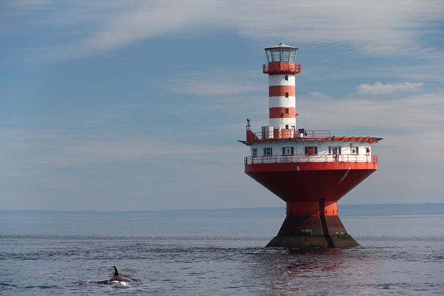 image from Multi-day Trips Tadoussac