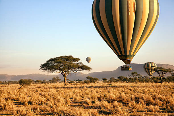 image from Bus Tours Tanzania