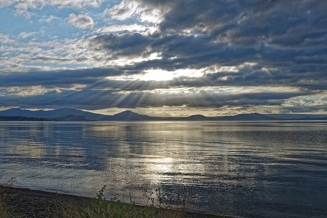 image from Solo Activities Taupo