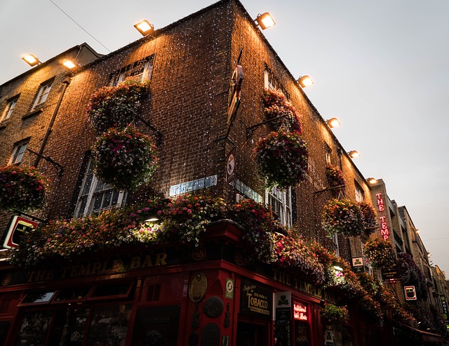 image from Temple Bar Dublin