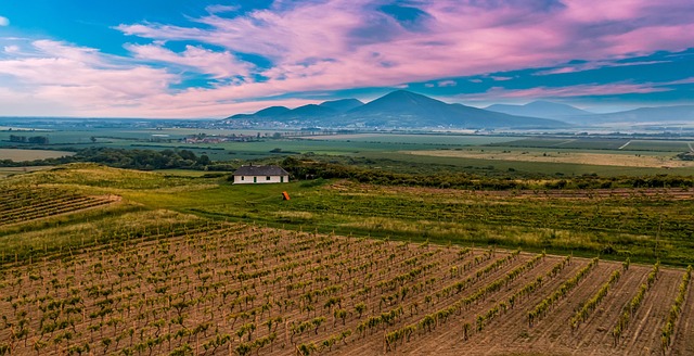 image from Tokaj Wine Region Historic Cultural Landscape