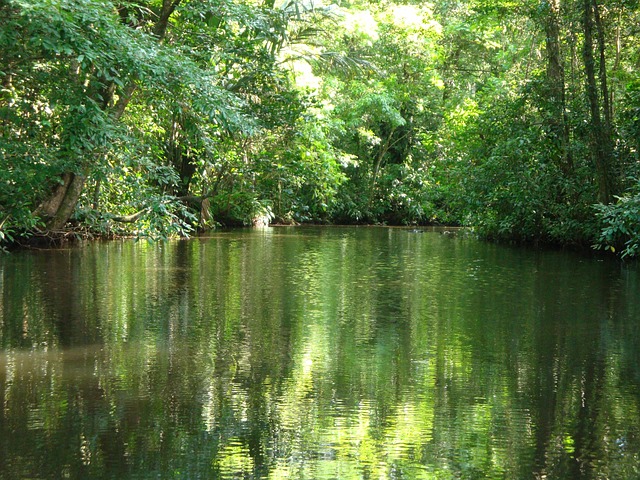 image from Family Friendly Activities Tortuguero