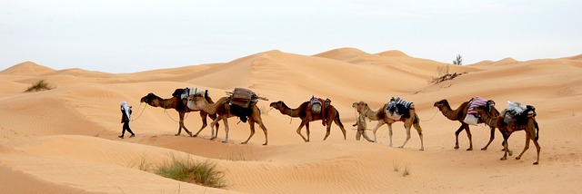 image from Tunis, Tunisia-hiking-areas