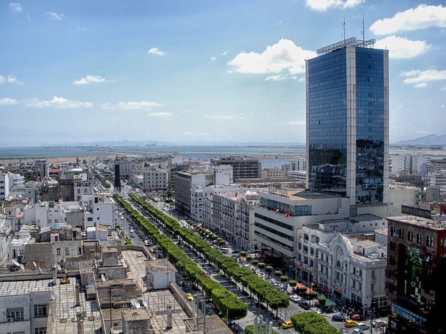 image from Day Trips Tunis