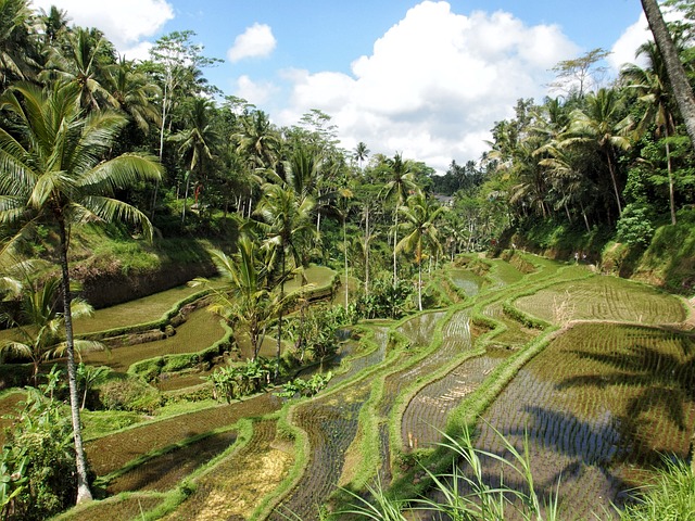 image from Romantic Getaways Ubud