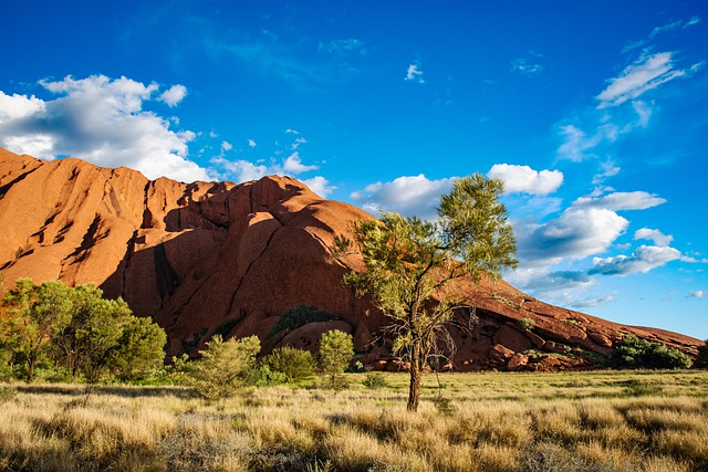 image from Uluru Kata Tjuta National Park