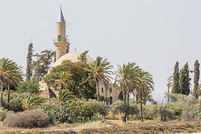 image from Outdoor Activities Umm Qais