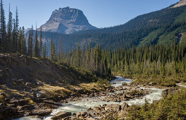 image from Vancouver British Columbia Hiking Areas