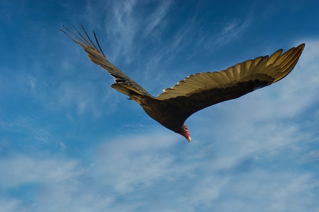 image from Venezuela 4 Day Itinerary