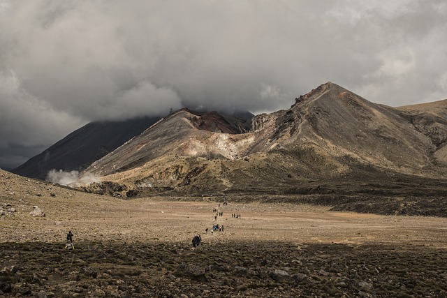 image from Volcanoes and Forests of Mount Pel E and the Pitons of Northern Martinique