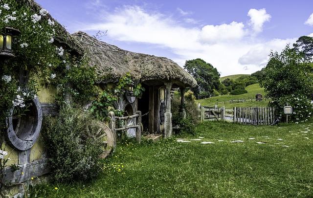 image from Wellington New Zealand