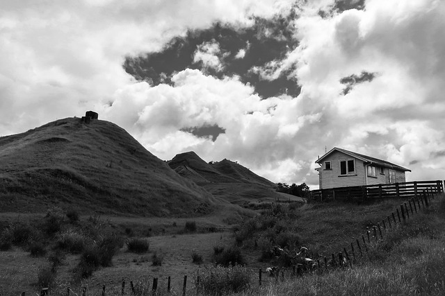 image from Walking Tours Waitomo