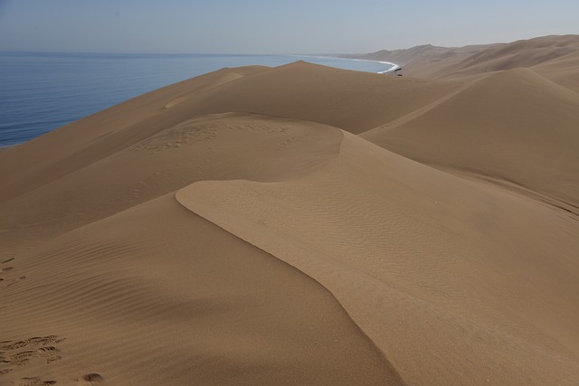 image from Animal Activities Walvis Bay