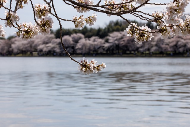 image from Washington Dc Nature Spots