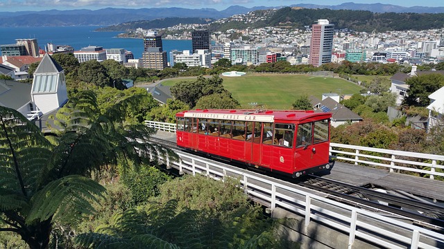 image from Bus Tours Wellington