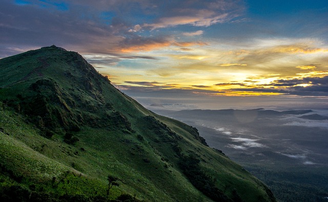 image from Western Ghats