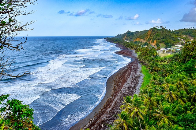 image from Windward Islands Boat Tours