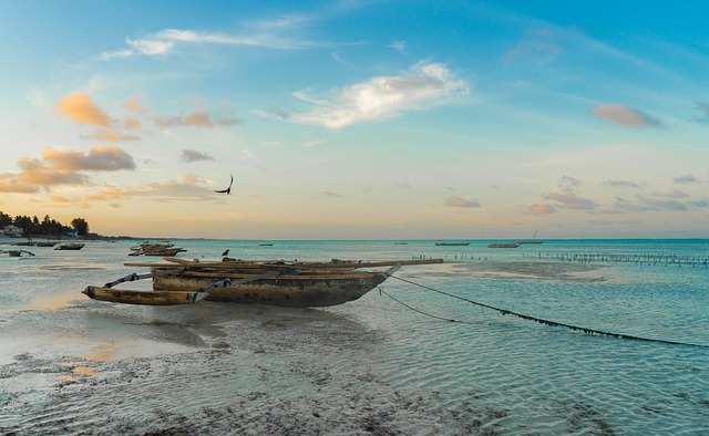 image from Activities Zanzibar Archipelago